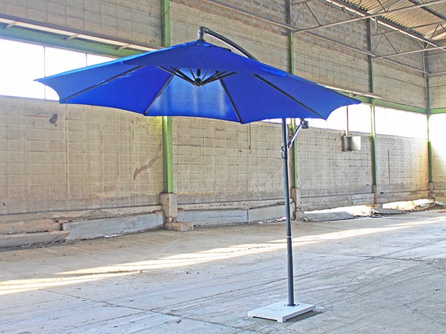 Image Description