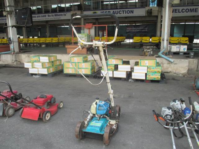 Image Description