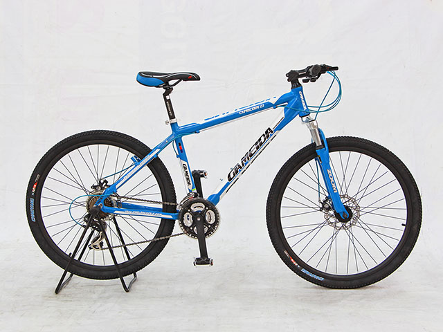 Image Description