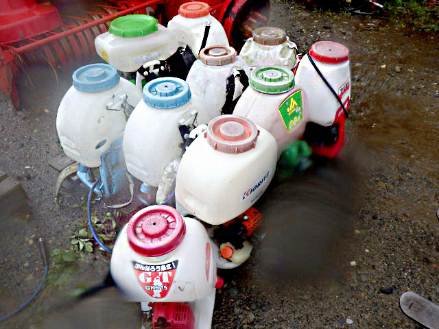 Image Description