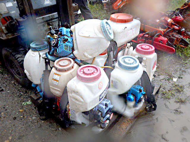 Image Description