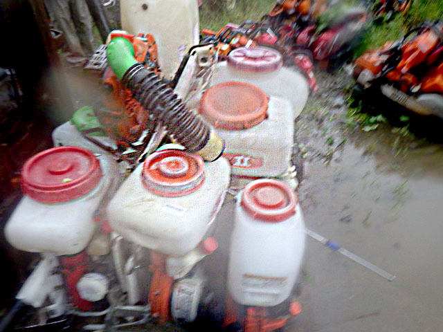 Image Description